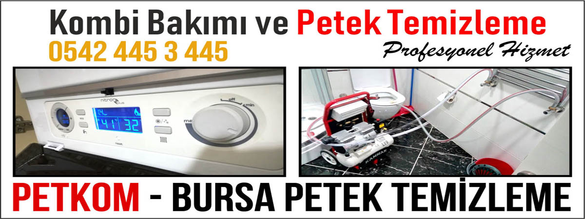 Bursa Petek Temizleme