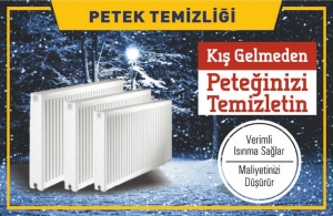 Bursa Petek Temizleme