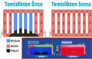 Bursa Petek Temizliği